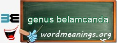 WordMeaning blackboard for genus belamcanda